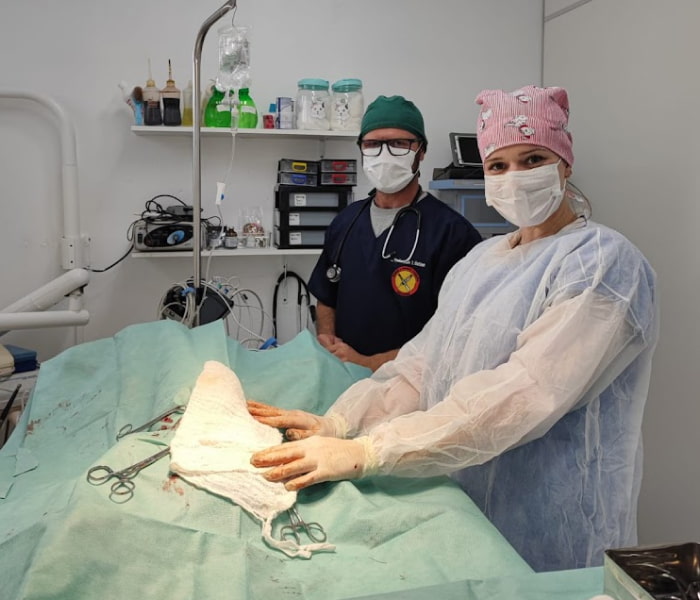 cirurgia-clinica-zooflora